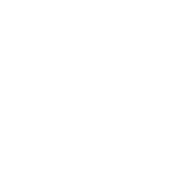 Plux